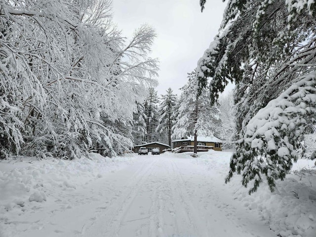 7589 Nose Lake Rd, Rhinelander, WI 54501 - view of home's community