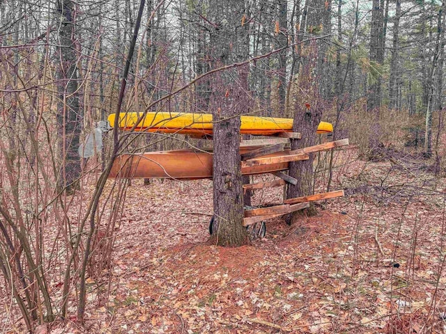 7589 Nose Lake Rd, Rhinelander, WI 54501 - view of yard featuring a view of trees