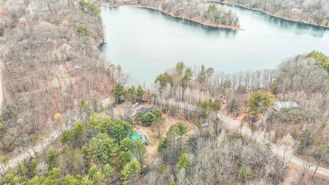 7589 Nose Lake Rd, Rhinelander, WI 54501 - aerial view featuring a water view and a wooded view