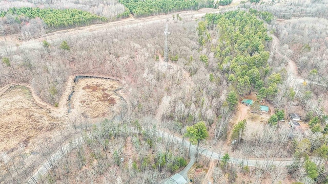7589 Nose Lake Rd, Rhinelander, WI 54501 - bird's eye view