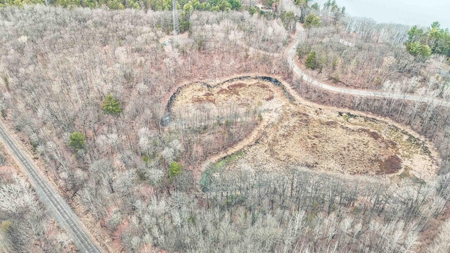 7589 Nose Lake Rd, Rhinelander, WI 54501 - aerial view
