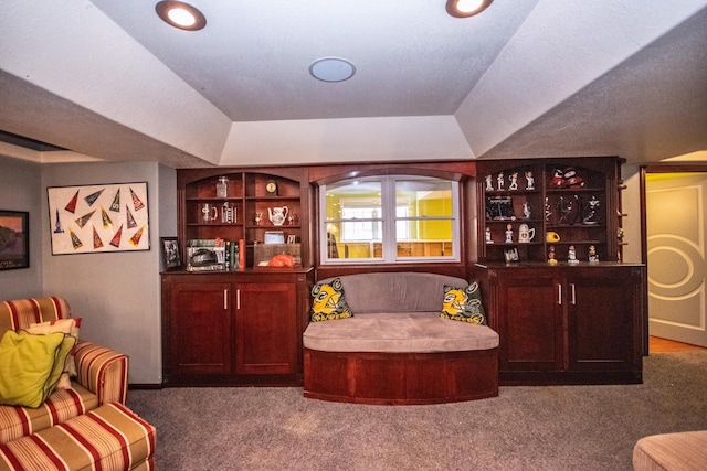 2704 Kettle Ct, West Bend, WI 53090 - bar with carpet, a raised ceiling, and recessed lighting