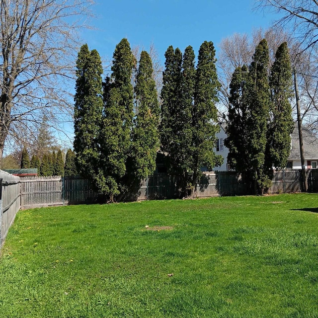 view of yard with a fenced backyard