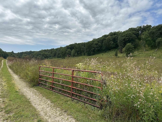 view of gate featuring a wooded view, a rural view, and fence