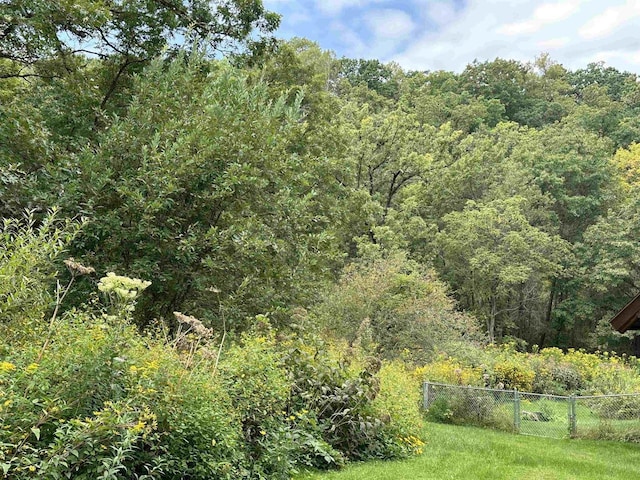view of nature featuring a wooded view