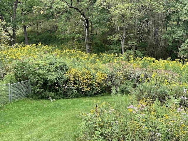 view of yard with a forest view and fence