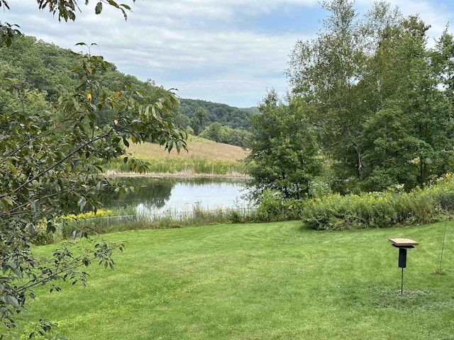 view of water feature