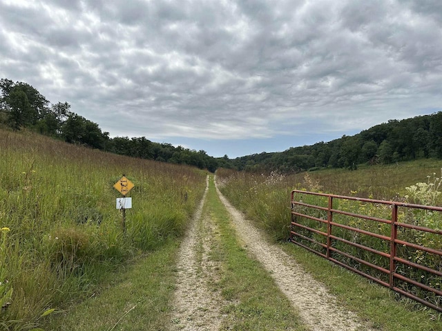 view of street with a rural view and a forest view