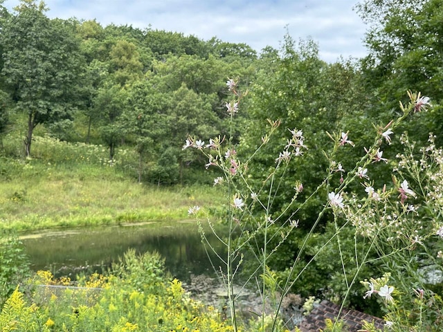 view of nature featuring a wooded view and a water view
