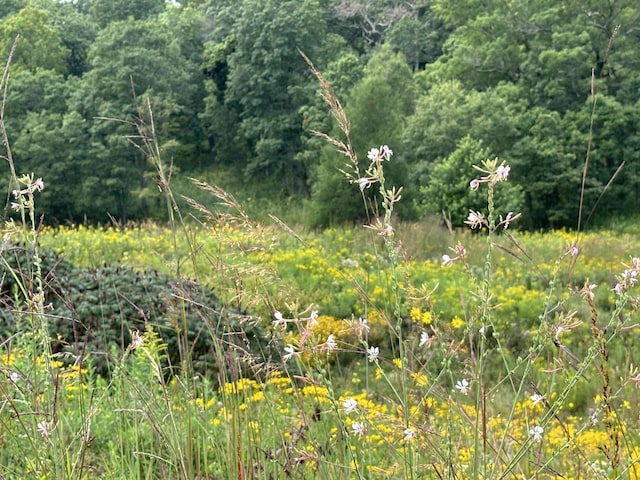 view of nature featuring a wooded view