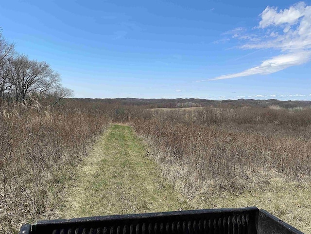 view of local wilderness