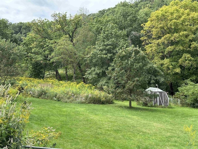 view of yard featuring a view of trees