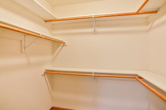 4109 Oak Ter, Weston, WI 54476 - view of walk in closet