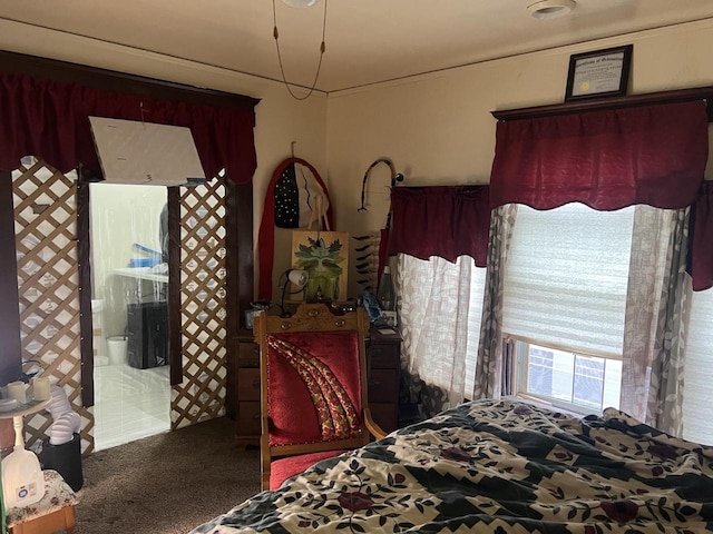 bedroom featuring carpet flooring and ensuite bath