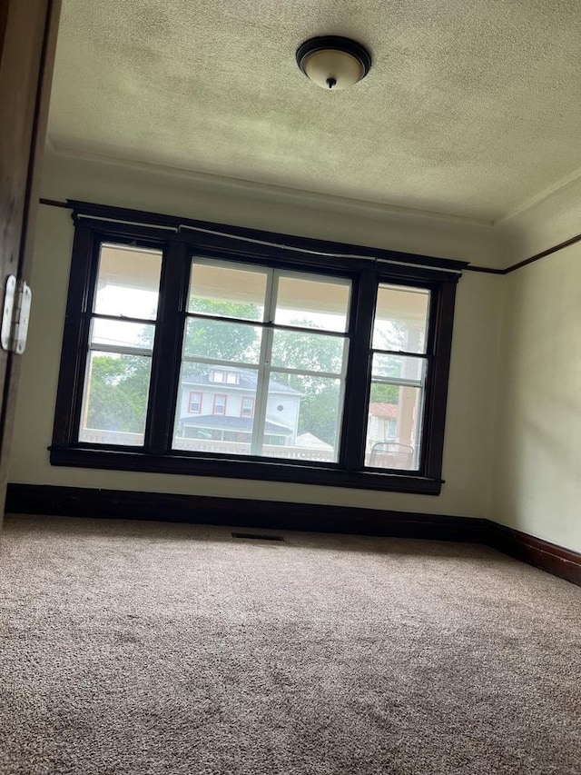 spare room featuring carpet flooring, a wealth of natural light, and a textured ceiling