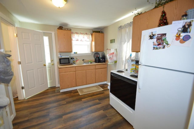 kitchen with light countertops, dark wood-type flooring, a sink, and white appliances