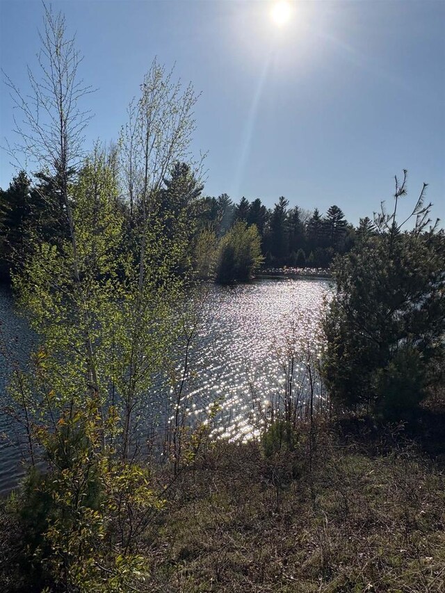 25ACRES Sawmill Rd, Stevens Point, WI 54481