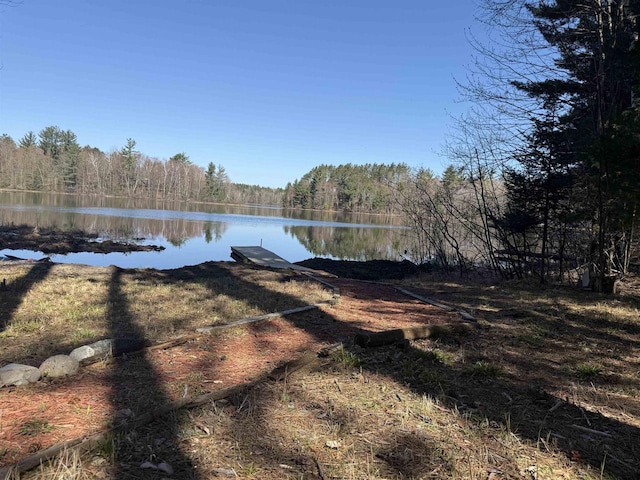 view of yard with a wooded view, a water view, and a boat dock