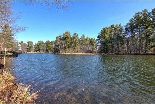 view of water feature with a view of trees