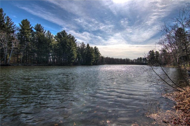 property view of water with a wooded view