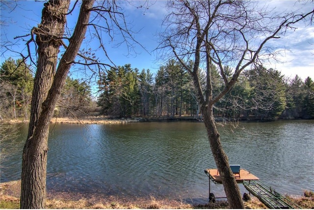 water view with a view of trees