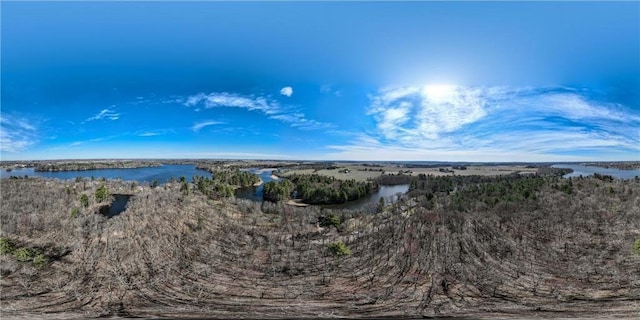 property view of water featuring a wooded view