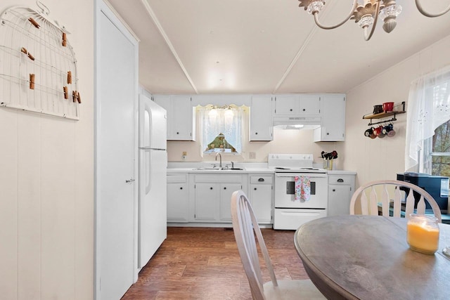 kitchen featuring a sink, white appliances, under cabinet range hood, light wood finished floors, and light countertops