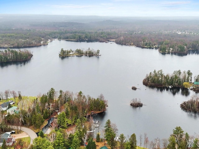 aerial view with a water view and a view of trees