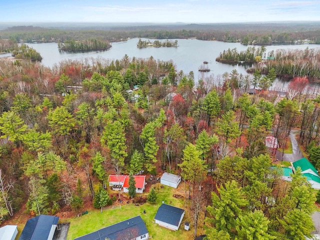 bird's eye view with a water view and a view of trees