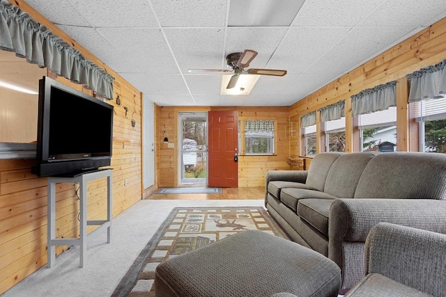 living area with a wealth of natural light and wooden walls