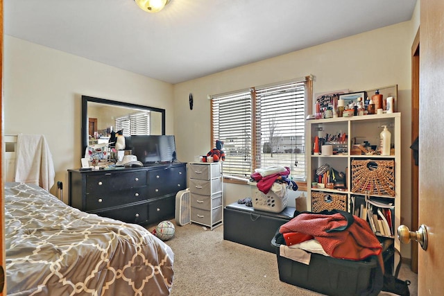 bedroom with carpet