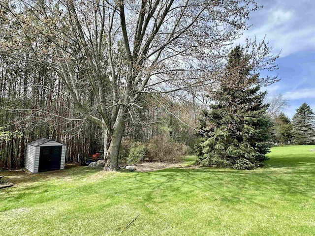 view of yard with a shed and an outdoor structure