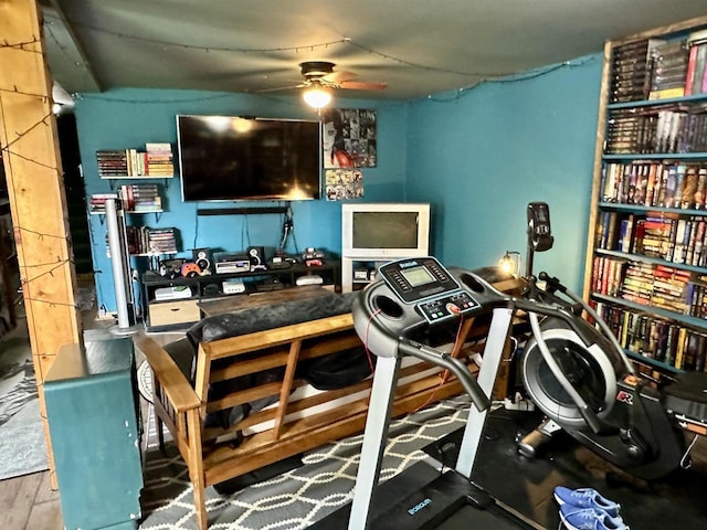 workout room featuring wood finished floors and ceiling fan