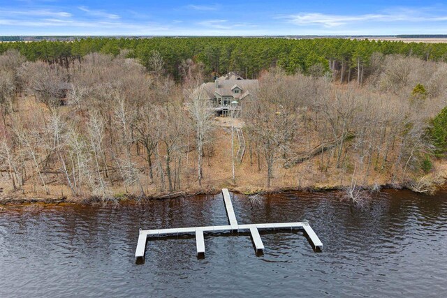 drone / aerial view with a water view and a forest view