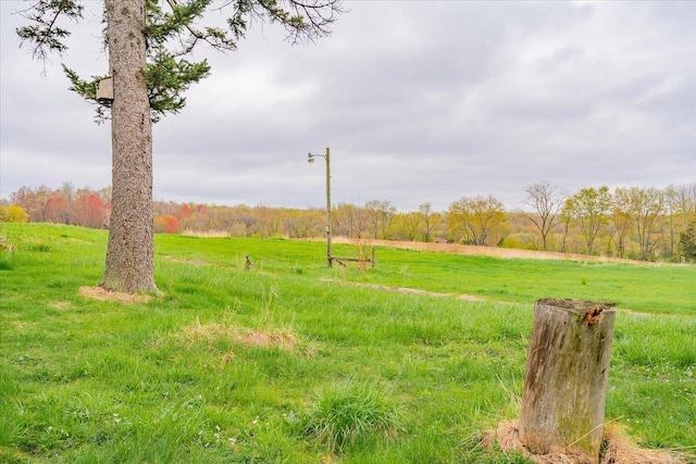 view of yard with a rural view