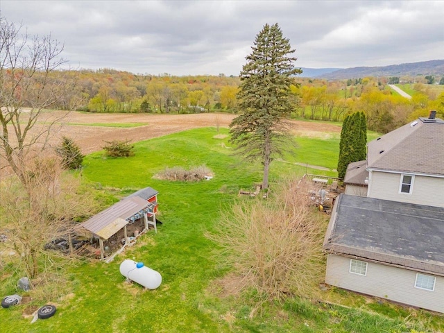bird's eye view with a forest view