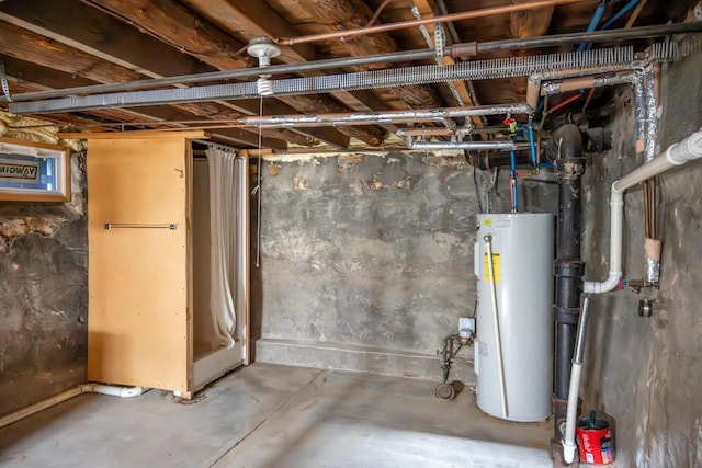 basement featuring gas water heater