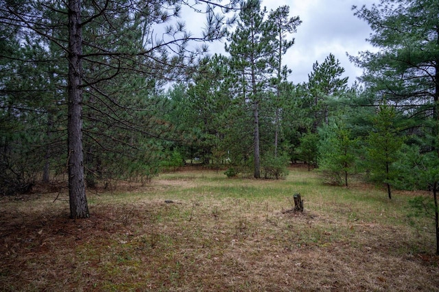 view of yard with a wooded view