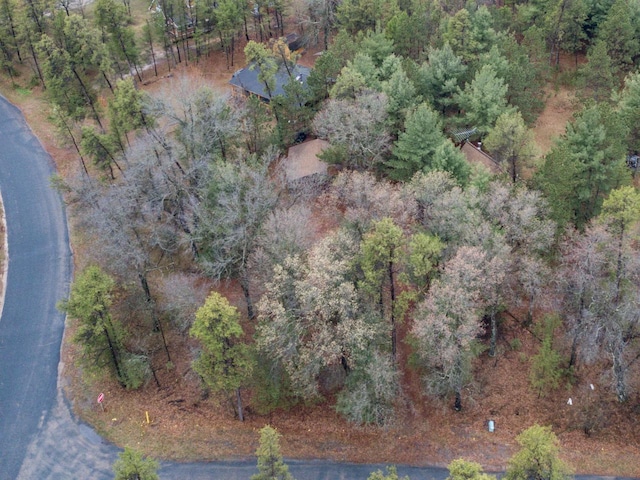 birds eye view of property featuring a forest view