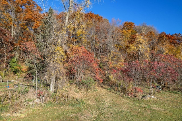 view of landscape with a view of trees