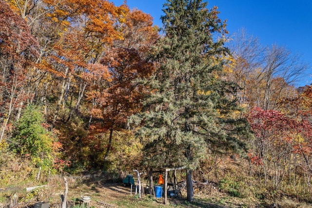 view of yard featuring a view of trees