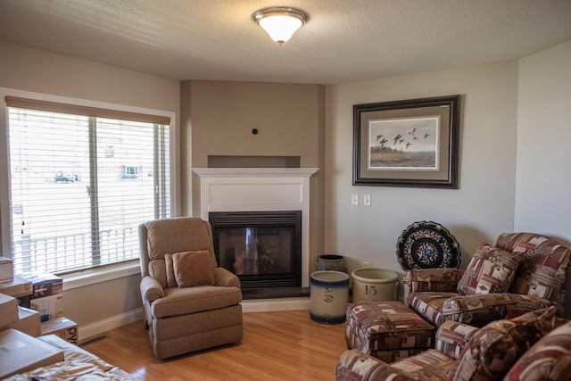 416 Gannon Ct, Tomah, WI 54660 - living room featuring baseboards, a wealth of natural light, a glass covered fireplace, and light wood-type flooring