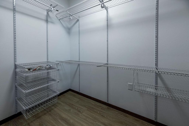walk in closet featuring wood finished floors