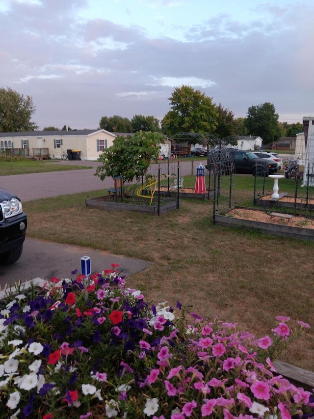 view of yard featuring fence and a garden
