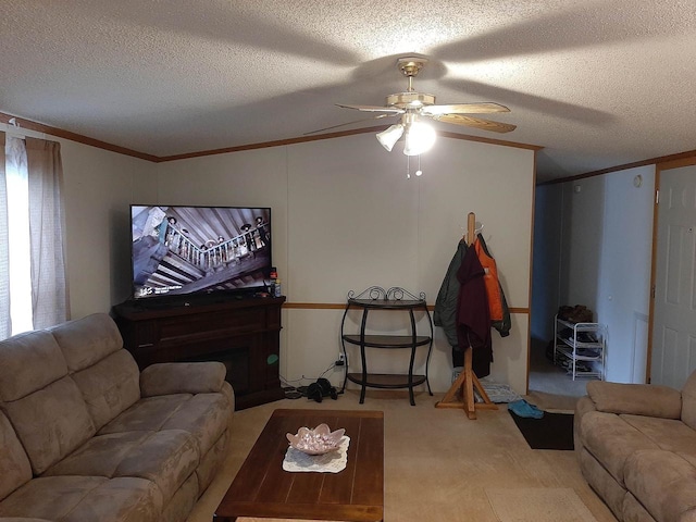 living area featuring carpet, ornamental molding, ceiling fan, and a textured ceiling
