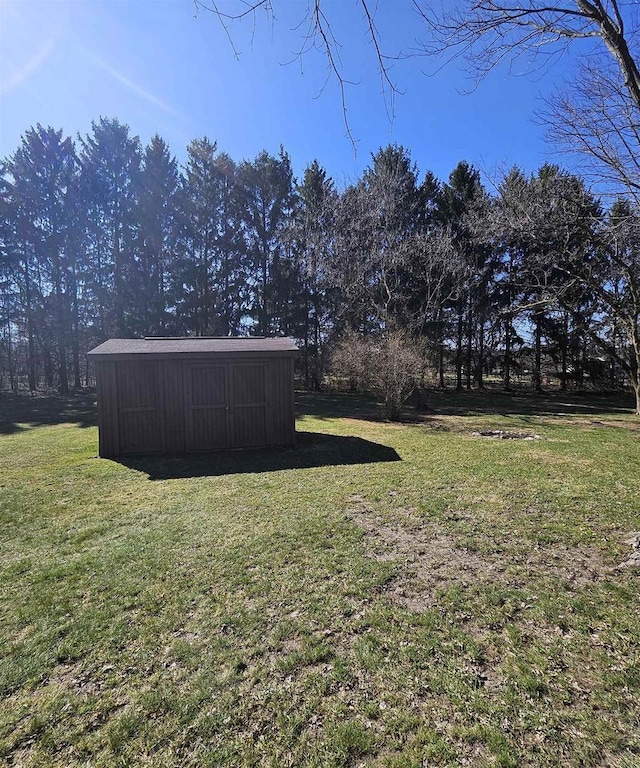 view of yard with an outdoor structure and a shed