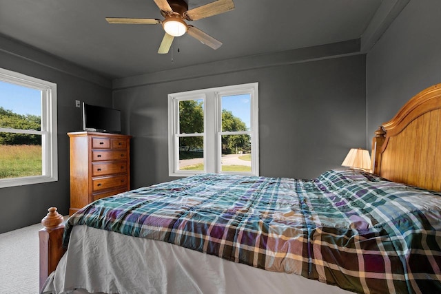 W444 Carlson Ln, Oconto Falls, WI 54154 - bedroom with multiple windows and a ceiling fan