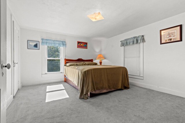 W444 Carlson Ln, Oconto Falls, WI 54154 - carpeted bedroom with baseboards