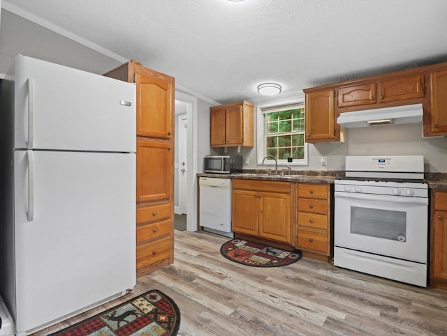 kitchen with under cabinet range hood, ornamental molding, a sink, and white appliances