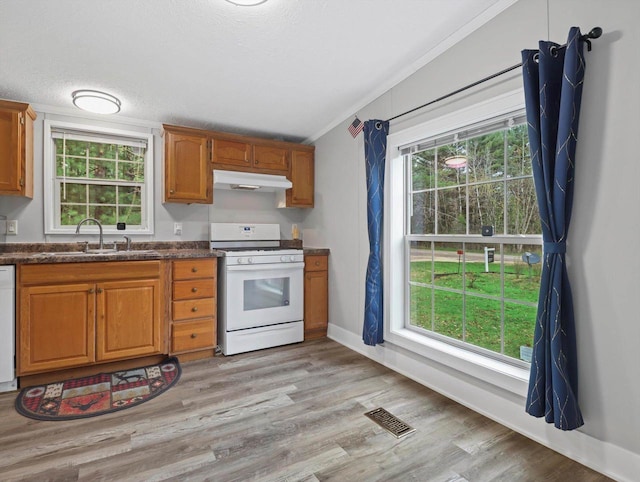 kitchen featuring a sink, white appliances, ornamental molding, visible vents, and under cabinet range hood